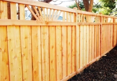 Sunburs Fence